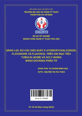 Đồ án tốt nghiệp công nghệ kỹ thuật hóa học sàng lọc ảo các dẫn xuất 2 hydroxychalconoid flavanone và flavonol trên hai mục tiêu tubulin 4o2b và acly 6o0h bằng docking phân tử