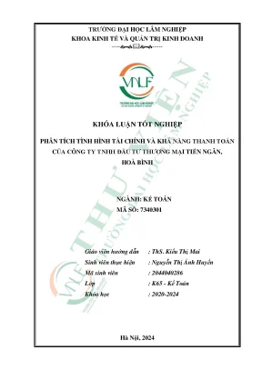 Phân tích tình hình tài chính và khả năng thanh toán của công ty tnhh đầu tư thương mại tiến ngân hòa bình