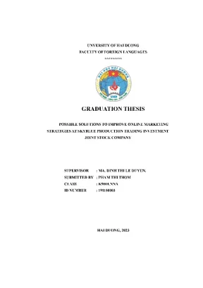 Graduation thesis possible solutions to improve online marketing strategies at skyblue production trading investment joint stock company