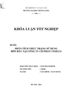 Phân tích thực trạng sử dụng đòn bẩy tại công ty cổ phần vimeco