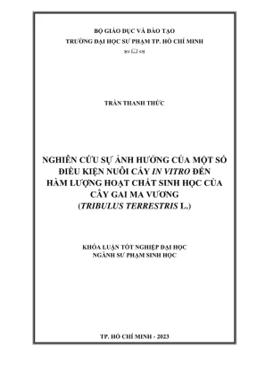 Khóa luận tốt nghiệp sư phạm sinh học nghiên cứu sự ảnh hưởng của một số điều kiện nuôi cấy in vitro đến hàm lượng hoạt chất sinh học của cây gai ma vương tribulus terrestris l