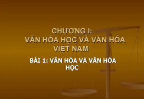 Cơ sở văn hoá việt nam chương 1