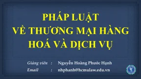Chương 1 luật thương mại hàng hóa và dịch vụ