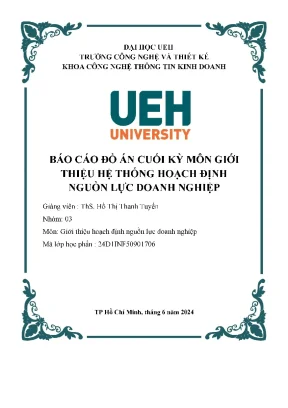 Đồ án cuối kỳ môn giới thiệu hệ thống hoạch định nguồn lực doanh nghiệp