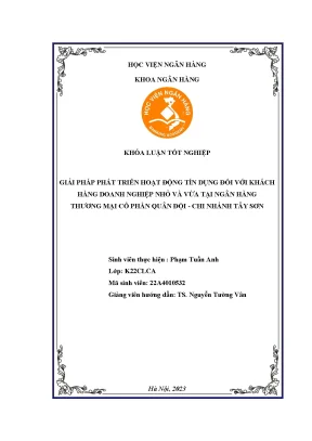Giải pháp phát triển hoạt động tín dụng đối với khách hàng doanh nghiệp nhỏ và vừa tại ngân hàng thương mại cổ phần quân đội chi nhánh tây sơn