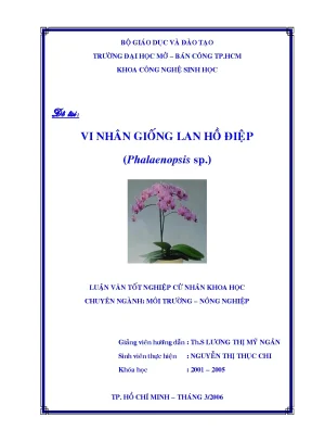 Vi nhân giống lan hồ điệp phalaenopsis sp