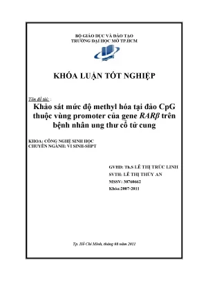 Khảo sát mức độ methyl hóa tại đảo cpg thuộc vùng promoter của gene rarβ trên bệnh nhân ung thư cổ tử cung