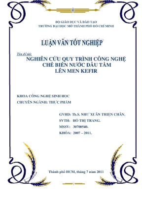 Nghiên cứu quy trình công nghệ chế biến nước dâu tằm lên men kefir