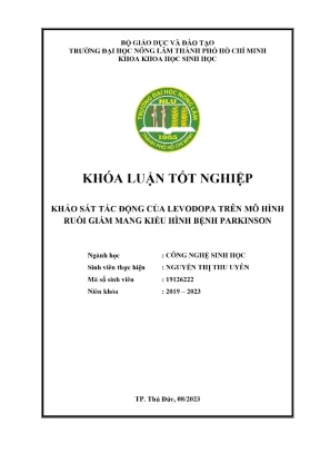 Khóa luận tốt nghiệp công nghệ sinh học khảo sát tác động của levodopa trên mô hình ruồi giấm mang kiểu hình bệnh parkinson