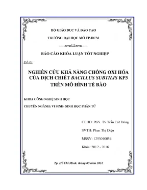 Nghiên cứu khả năng chống oxi hóa của dịch chiết bacillus subtilis kp3 trên mô hình tế bào