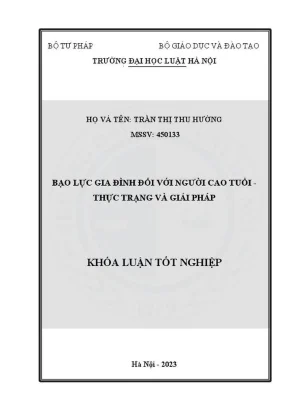 Khóa luận tốt nghiệp bạo lực gia đình đối với người cao tuổi thực trạng và giải pháp