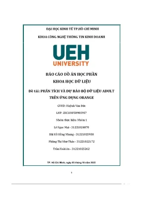 Báo cáo đồ án học phần khoa học dữ liệu đề tài phân tích và dự báo bộ dữ liệu adult trên ứng dụng orange
