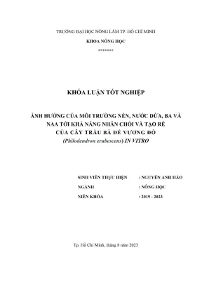 Khóa luận tốt nghiệp nông học ảnh hưởng của môi trường nền nước dừa ba và naa tới khả năng nhân chồi và tạo rễ của cây trầu bà đế vương đỏ philodendron erubescens in vitro