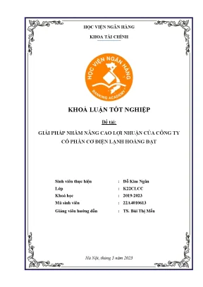 Giải pháp nhằm nâng cao lợi nhuận của công ty cổ phần cơ điện lạnh hoàng đạt