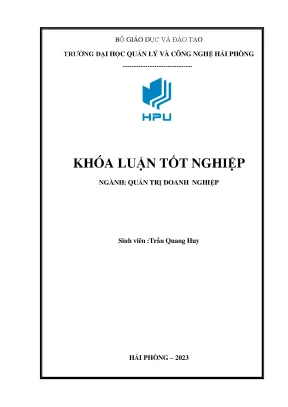 Phân tích hiệu quả hoạt động kinh doanh của ngân hàng thương mại cổ phần việt nam thương tín