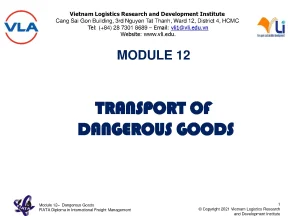 4 present m12 dg jul 2021 dg cargo fiata