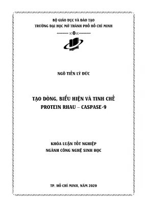 Tạo dòng biểu hiện và tinh chế protein rhau caspase 9