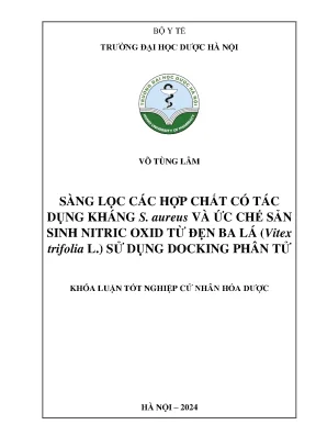 Võ tùng lâm sàng lọc các hợp chất có tác dụng kháng s aureus và ức chế sản sinh nitric oxid từ đẹn ba lá vitex trifolia l sử dụng docking phân tử