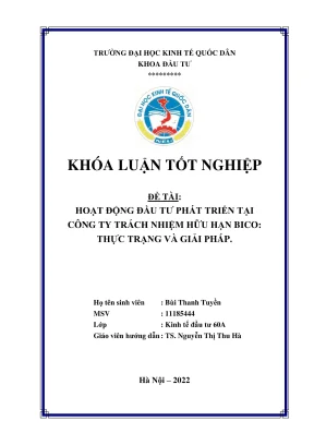 Hoạt động đầu tư phát triển tại công ty trách nhiệm hữu hạn bico thực trạng và giải pháp