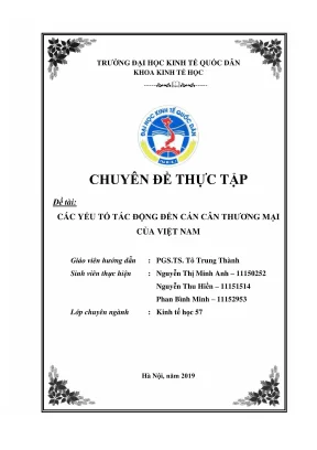 Chuyên đề thực tập các yếu tố tác động đến cán cân thương mại của việt nam