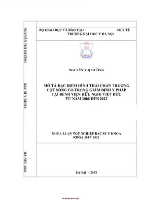 Mô tả đặc điểm hình thái chấn thương cột sống cổ trong giám định y pháp tại bv hữu nghị việt đức từ năm 2008 2022