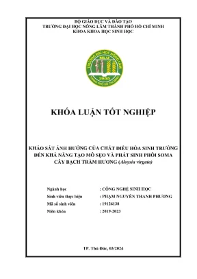 Khóa luận tốt nghiệp công nghệ sinh học khảo sát ảnh hưởng của chất điều hòa sinh trưởng đến khả năng tạo mô sẹo và phát sinh phôi soma cây bạch trầm hương aloysia virgata
