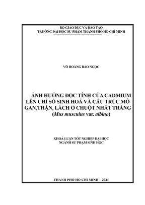 Khóa luận tốt nghiệp sinh học ảnh hưởng độc tính của cadmium lên chỉ số sinh hoá và cấu trúc mô gan thận lách ở chuột nhắt trắng mus musculus var albino