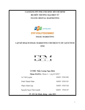 Email marketing lập kế hoạch email marketing cho dịch vụ du lịch tour efm
