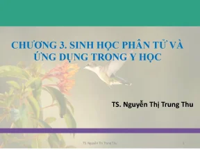 Sinh học di truyền chương 03 sinh học phân tử và ứng dụng