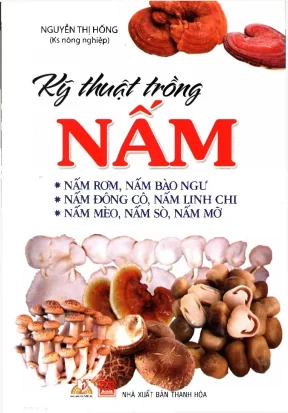 Kỹ thuật trồng nấm
