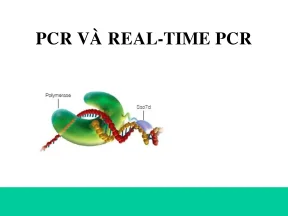 Thiet bi va ktcnsh 2 real time pcr nk 06