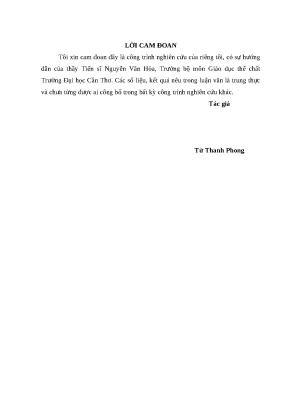 Luận văn từ thanh phong