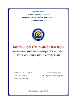 Khóa luận tốt nghiệp hệ thống thông tin kinh tế triển khai thương mại điện tử cho công ty trách nhiệm hữu hạn việt linh