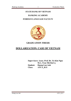 Dollarization case of vietnam graduation thesis