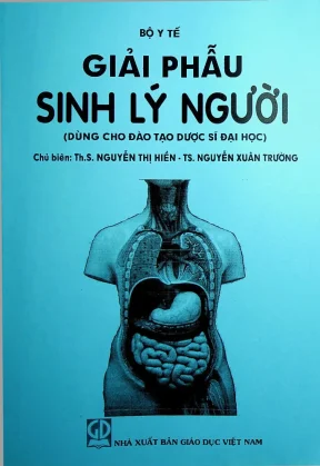 Giải phẫu sinh lý người dùng cho đào tạo dược sĩ đại học nguyễn thị hiền nguyễn xuân trường