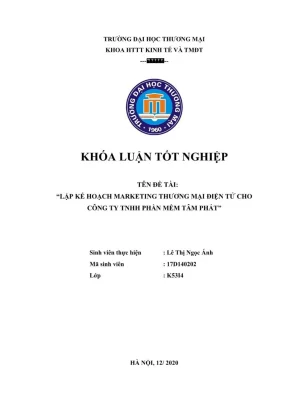 Khóa luận tốt nghiệp lập kế hoạch marketing thương mại điện tử cho công ty tnhh phần mềm tâm phát
