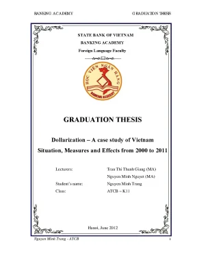 Dollarization a case study of vietnam situation measures and effects from 2000 2011 graduation thesis