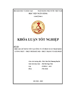 Hiệu quả sử dụng vốn tại công ty cổ phần xuất nhập khẩu lương thực thực phẩm hà nội thực trạng và giải pháp