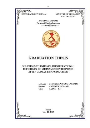 Solutions to enhance the operational efficienty of vietnamese enterprises after global financial crisis