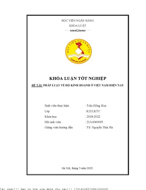 Pháp luật về hộ kinh doanh ở việt nam hiện nay