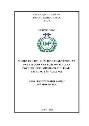 Khóa luận nghiên cứu đặc điểm hình thái vi phẫu và dna barcode của loài macrosolen tricolor lecomte dans thu thập tại hưng yên và hà nội