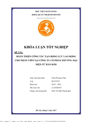 Hoàn thiện công tác tạo động lực lao động cho nhân viên tại công ty cổ phần tmđt bảo kim