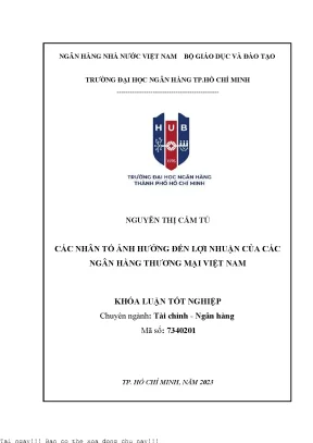 Các nhân tố ảnh hưởng đến lợi nhuận của các ngân hàng thương mại việt nam 2023