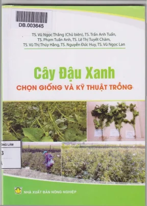 Cây đậu xanh chọn giống và kỹ thuật trồng