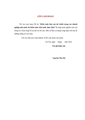 Luận văn thạc sĩ kiểm toán báo cáo tài chính trong các doanh nghiệp nhà nước do kiểm toán nhà nước thực hiện