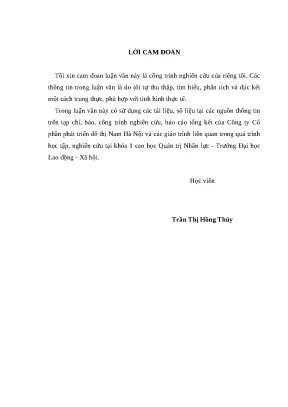 Luận văn thạc sĩ kinh tế giải pháp nâng cao hiệu quả sử dụng nguồn nhân lực tại công ty cổ phần phát triển đô thị nam hà nội