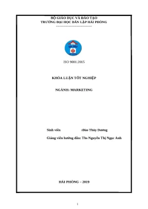 Luận văn hpu thực trạng marketing mix của công ty cổ phần đầu tư và phát triển hải nam