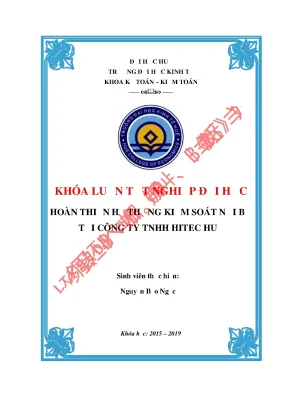 Hoàn thiện hệ thống kiểm soát nội bộ tại công ty tnhh hitec huế