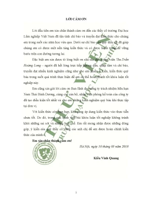 Nghiên cứu công tác kế toán bán hàng và xác định kết quả hoạt động kinh doanh tại công ty trách nhiệm hữu hạn thương mại nam thái bình dương hà nội