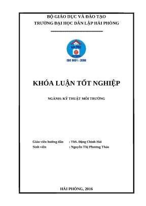 Luận văn hpu nghiên cứu tổng hợp chất hoạt động bề mặt bằng phương pháp hydrat hóa dầu thông để xử lý dầu mỡ trên vải sợi